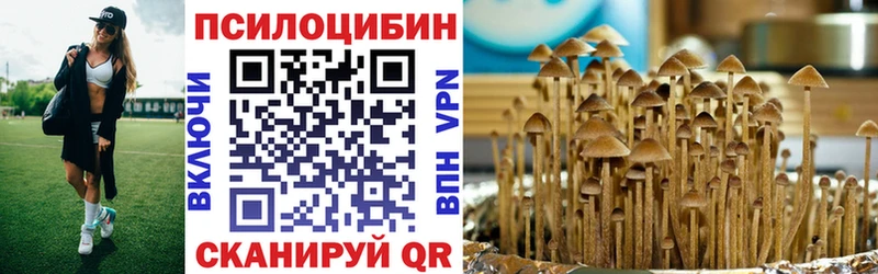 Псилоцибиновые грибы Magic Shrooms где можно купить Берёзовка
